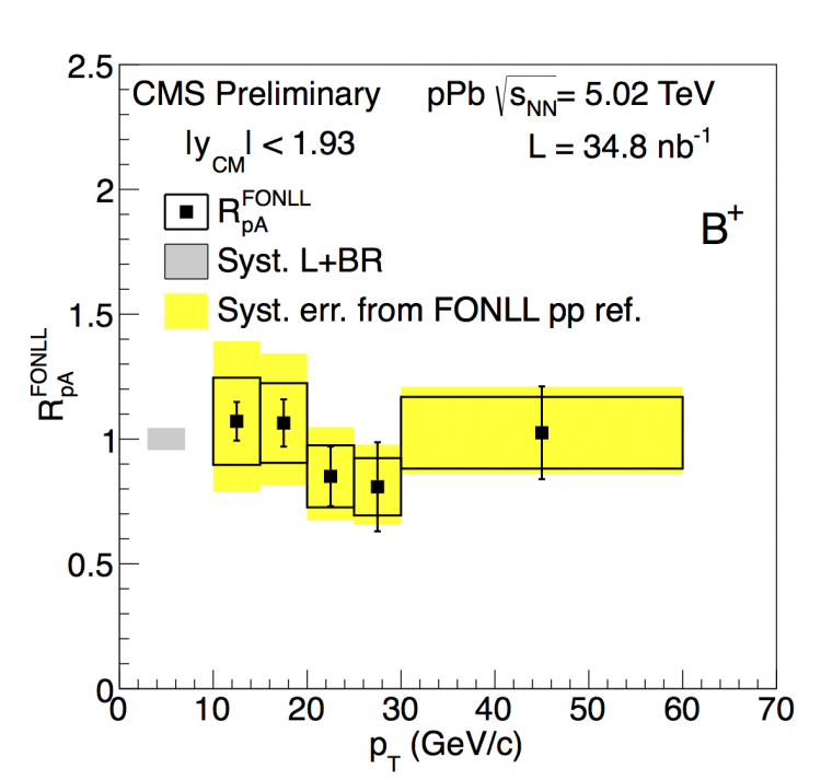 Figure 2: R<sub>pA</sub> of charged B mesons using FONLL calculations as reference. Alt