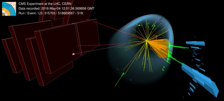 Figure 1: A candidate event for Higgs pair production via a transient, heavy, new particle reconstructed in the CMS detector. The red lines correspond to muons, and the pink line represents the direction of the missing momentum in the plane transverse to the beam direction. These could come from the decay of a Higgs boson to either a W boson pair or a tau lepton pair. The two b-jets, represented by orange cones, could correspond to the decay of one Higgs boson to two bottom quarks.