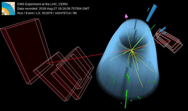 Cms Sees Evidence For The Higgs Boson Decaying Into Muons Cms Experiment