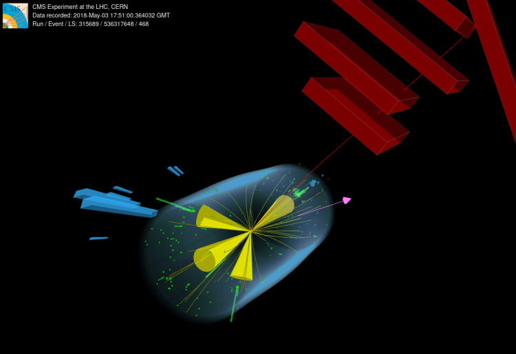 Figure 1: Vector boson scattering in proton-proton collision and subsequent decay identified with 4 hadronic jets, a muon and missing energy (due to a neutrino) in the final state