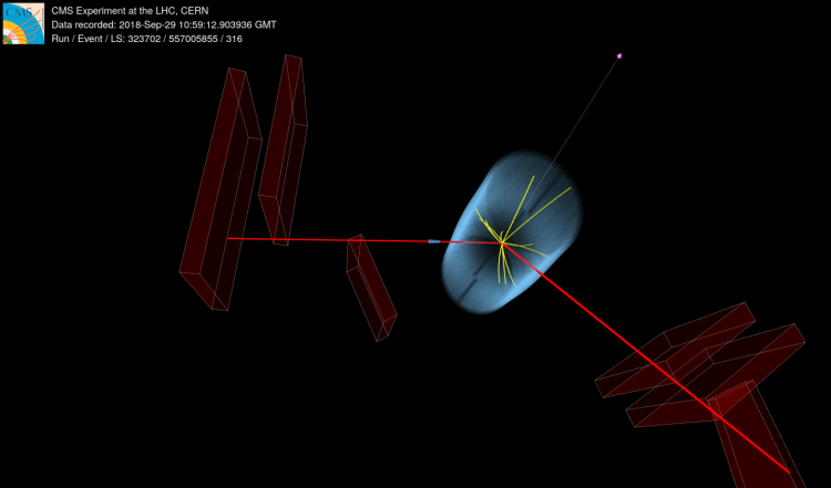 A candidate collision recorded by CMS, containing two muons (red) and significant momentum imbalance in the direction away from the LHC beam(magenta).