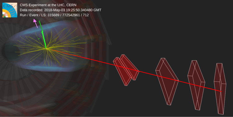 Display of a candidate event recorded by the CMS detector.