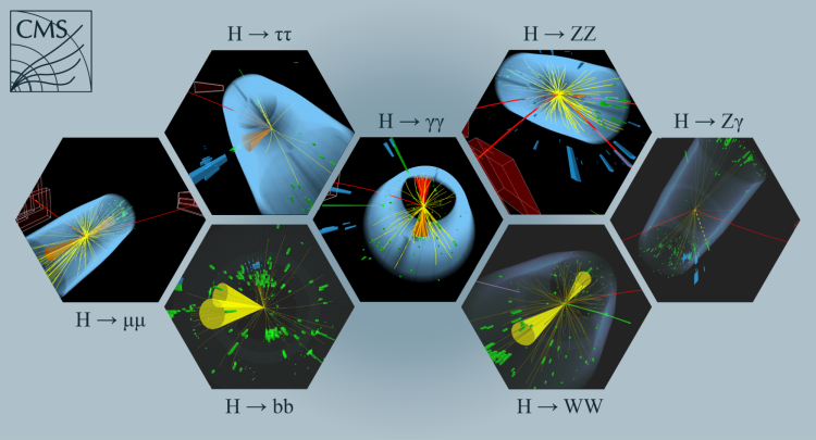 Event displays of the various Higgs boson decay channels studied.
