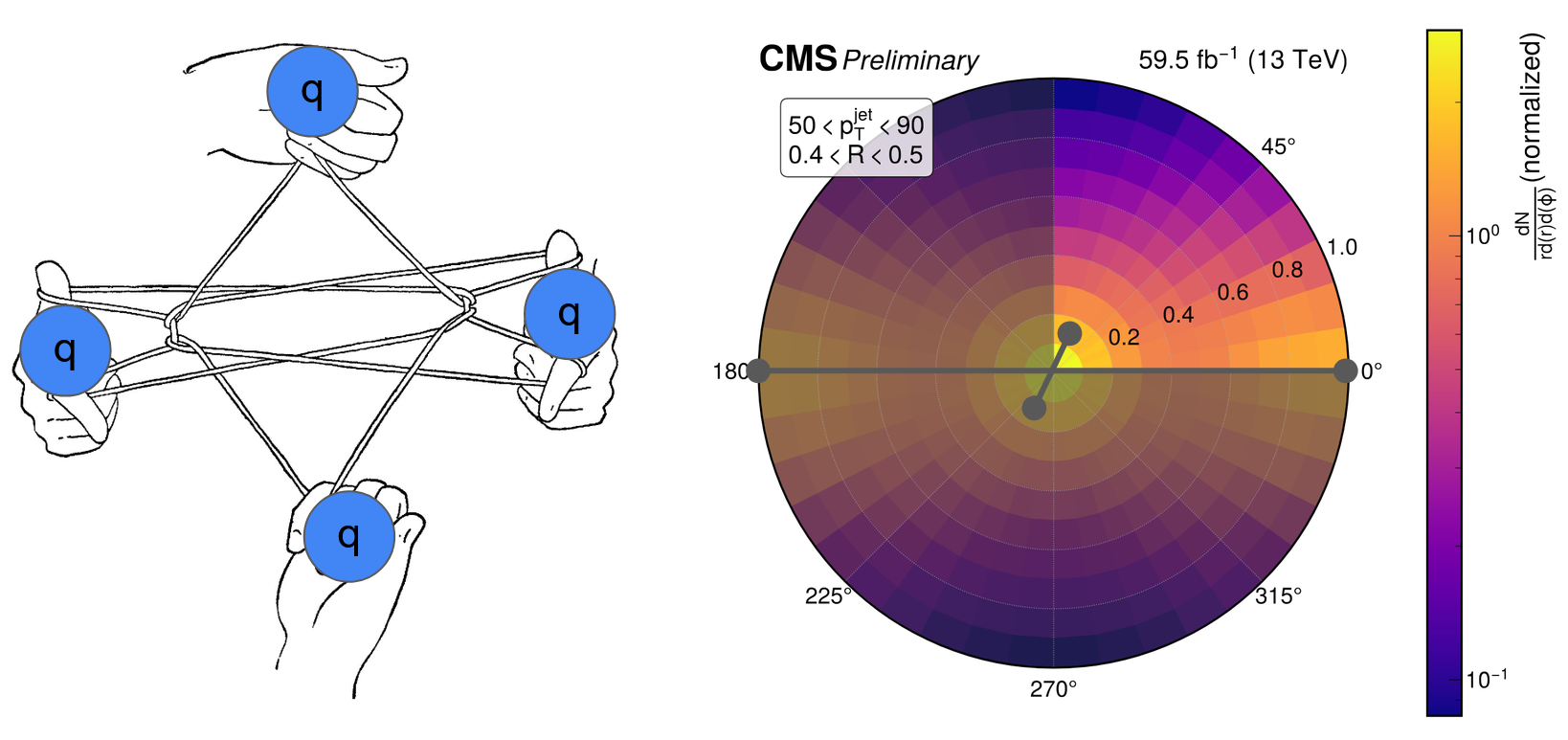 diagram of the force lines between between four quarks.