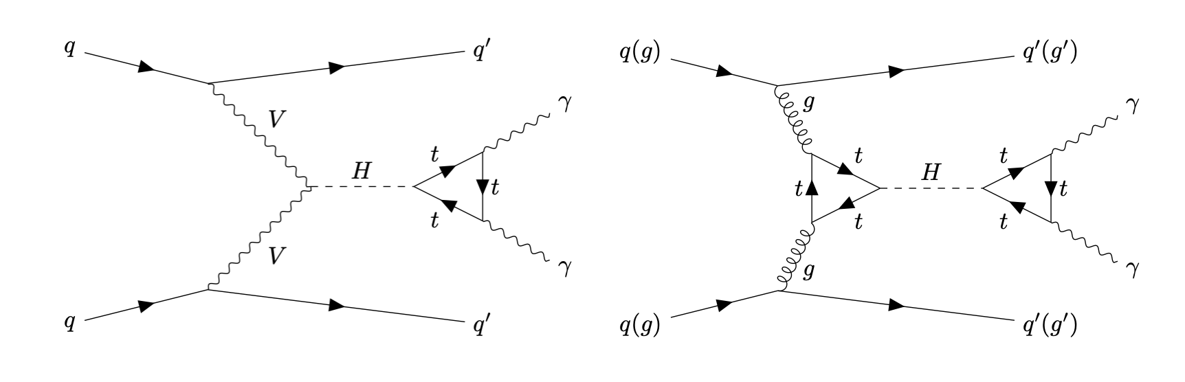Feynman diagrams