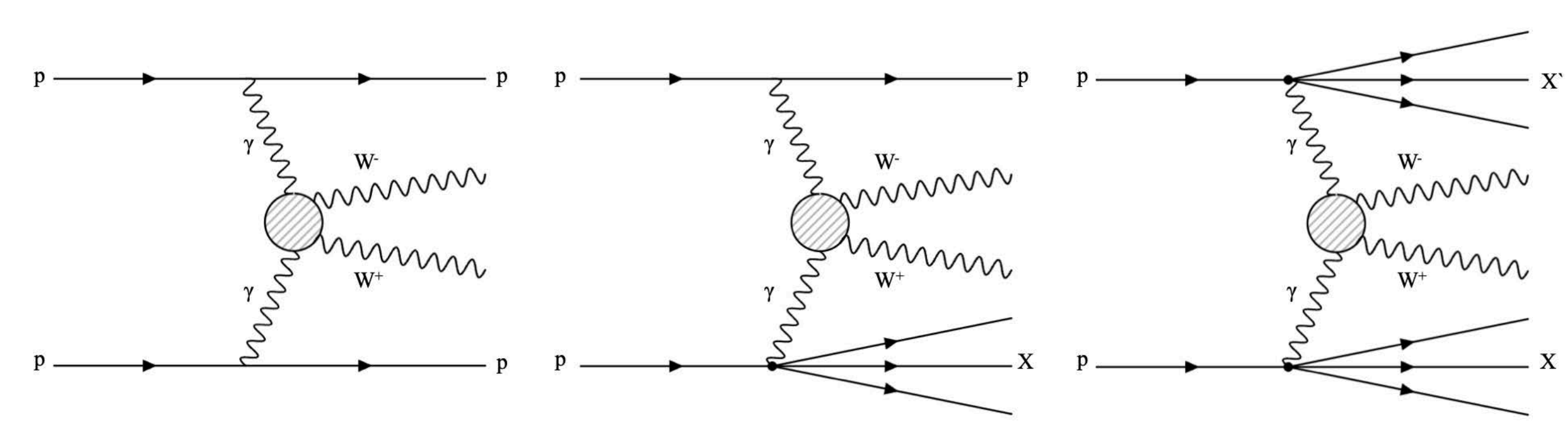 Feynman diagrams.
