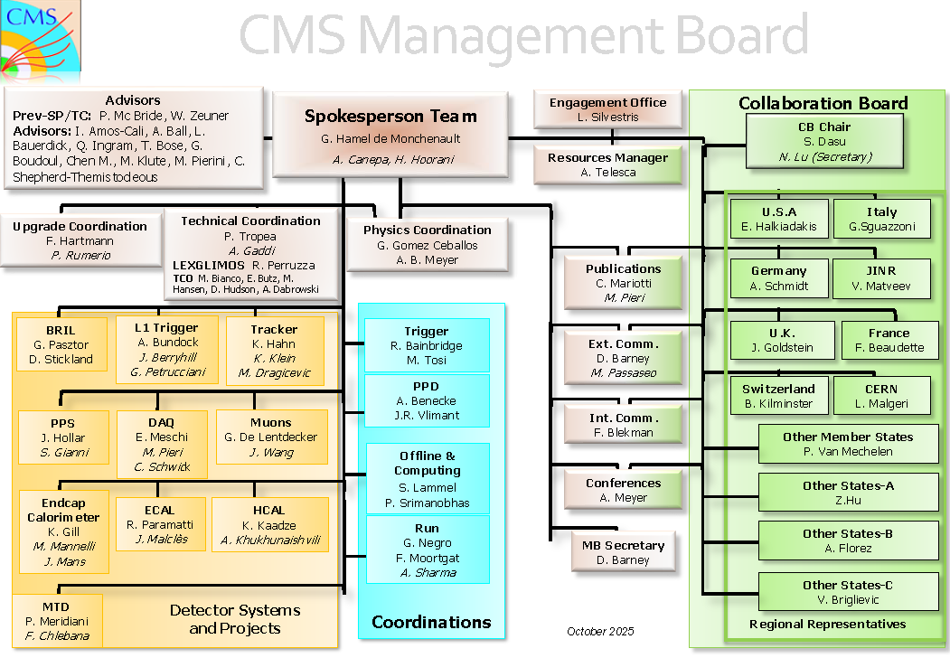 October 2025 Management Board Organigram