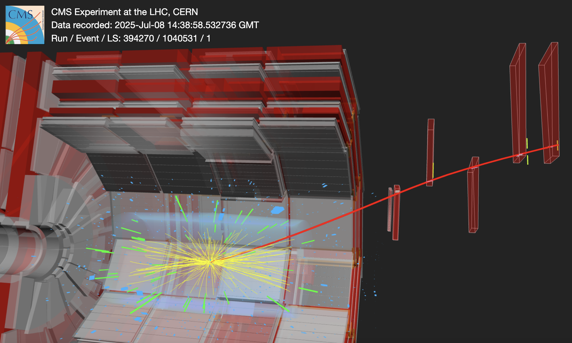 Neon-neon collisions