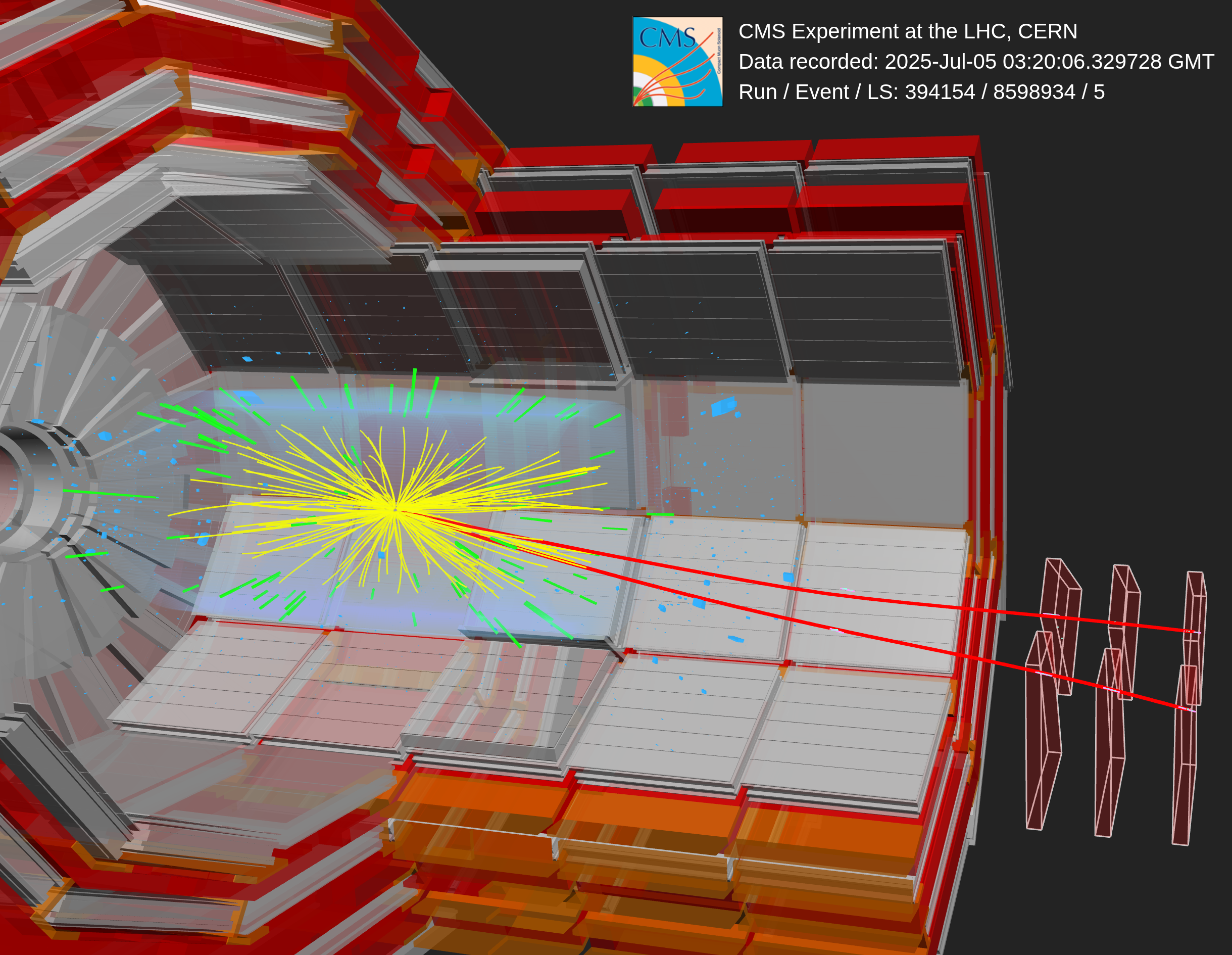 Oxygen-oxygen collision event display