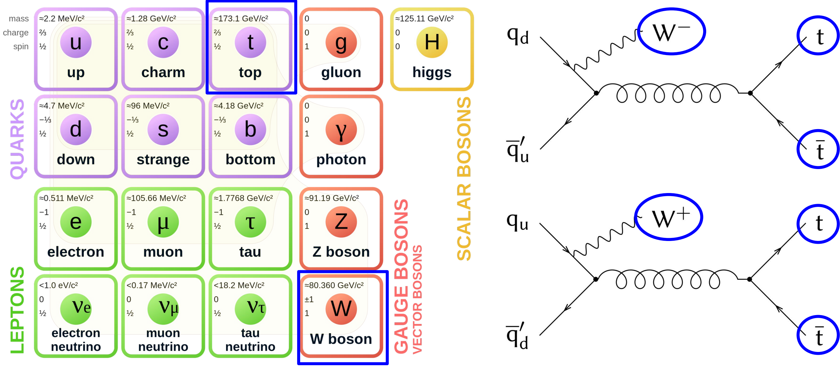 Standard model particles, and Feynman diagrams.