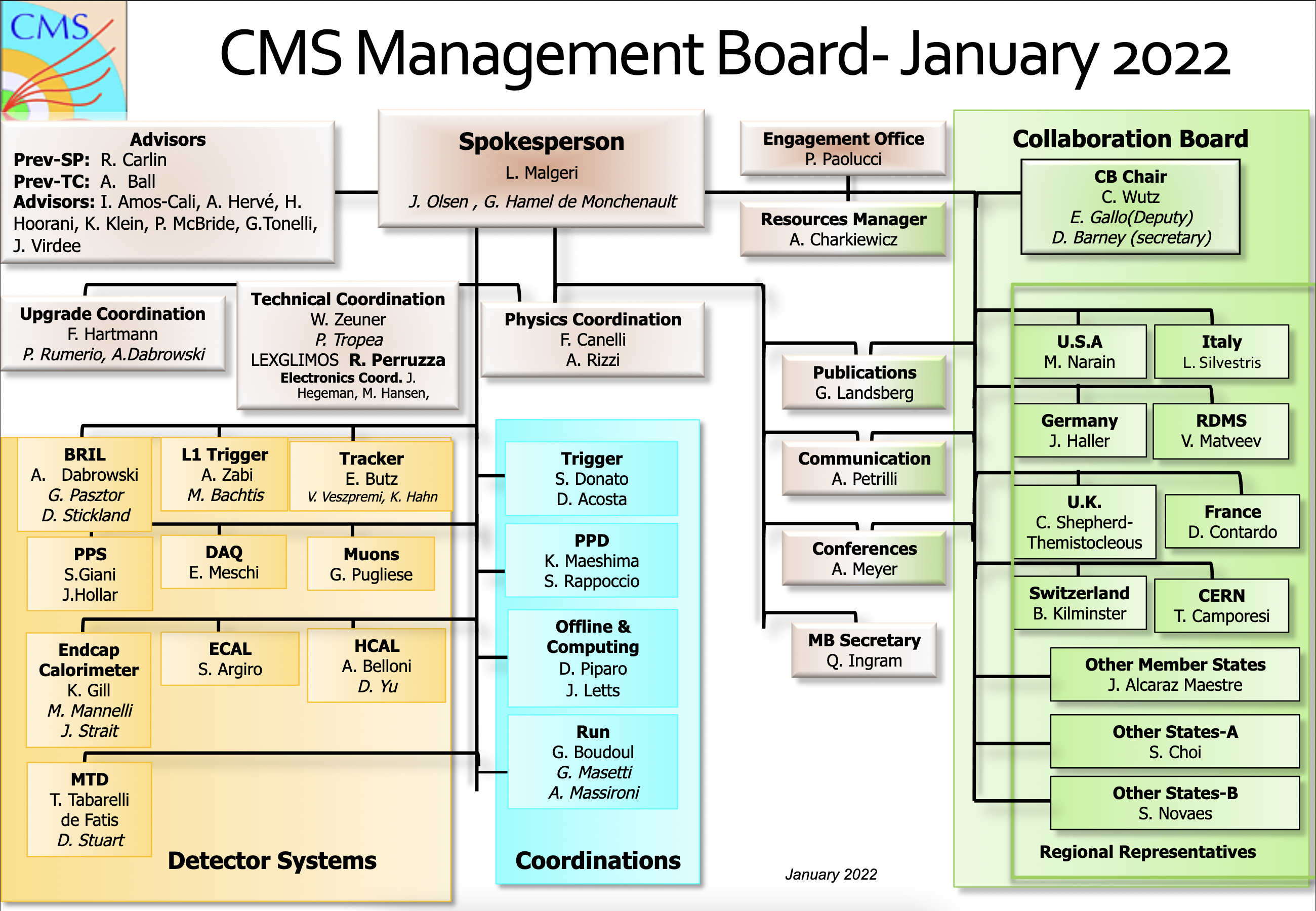Organigram Management Board
