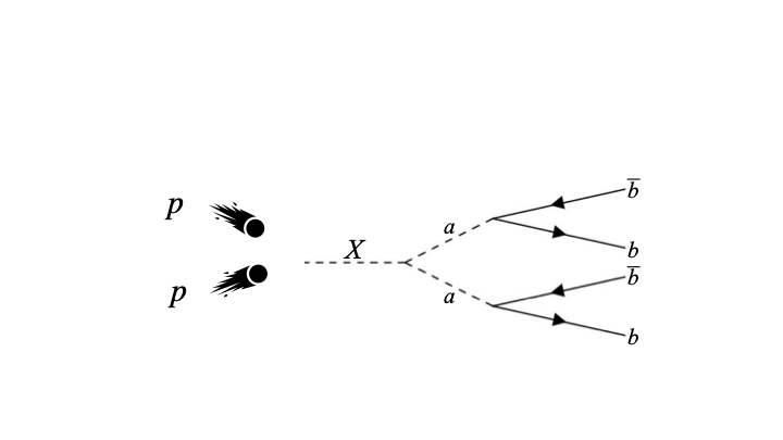 A diagram showing two protons colliding to produce the heavy Higgs (labeled “X”) and the lighter Higgs (labeled “a”), which then each decay into two b-quark pairs. 