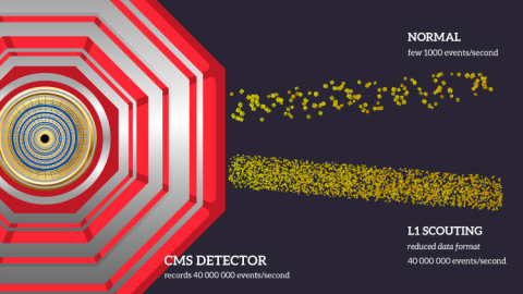 An infographic illustrating L1 Scouting at CMS.
